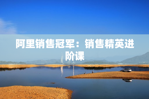 阿里销售冠军：销售精英进阶课