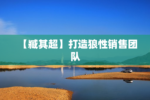 【臧其超】打造狼性销售团队