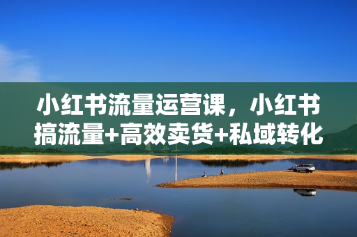 小红书流量运营课，小红书搞流量+高效卖货+私域转化