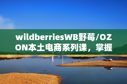 wildberriesWB野莓/OZON本土电商系列课，掌握WB产品优化，出单技巧和订单处理等