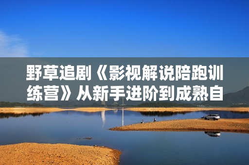 野草追剧《影视解说陪跑训练营》从新手进阶到成熟自媒体达人