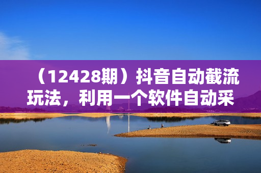 （12428期）抖音自动截流玩法，利用一个软件自动采集、评论、点赞、私信，全域引流