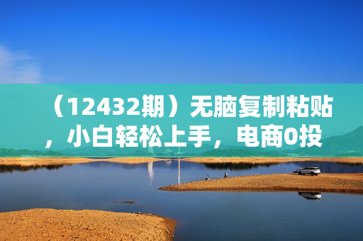 （12432期）无脑复制粘贴，小白轻松上手，电商0投资0成本轻松月入3W+