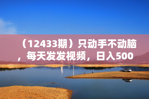（12433期）只动手不动脑，每天发发视频，日入500+