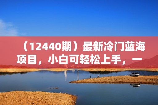 （12440期）最新冷门蓝海项目，小白可轻松上手，一天十几分钟，日入2000+，可批量放大