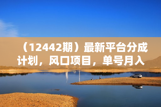 （12442期）最新平台分成计划，风口项目，单号月入10000+