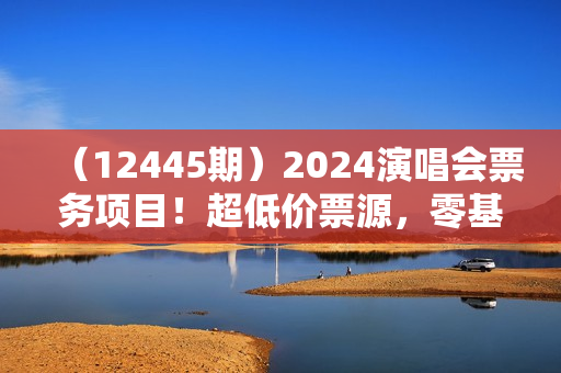 （12445期）2024演唱会票务项目！超低价票源，零基础速成，日收入超两千