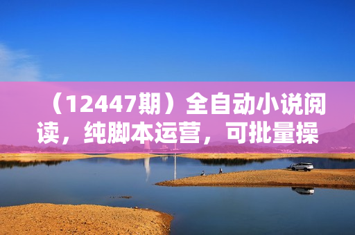 （12447期）全自动小说阅读，纯脚本运营，可批量操作，时间自由，小白轻易上手，日