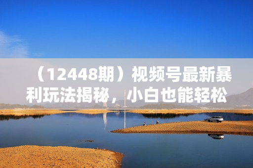 （12448期）视频号最新暴利玩法揭秘，小白也能轻松月入30000+