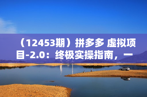 （12453期）拼多多 虚拟项目-2.0：终极实操指南，一站式教学，轻松开店盈利