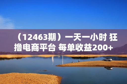 （12463期）一天一小时 狂撸电商平台 每单收益200+ 批量日入2000+