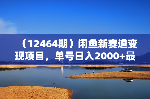 （12464期）闲鱼新赛道变现项目，单号日入2000+最新玩法