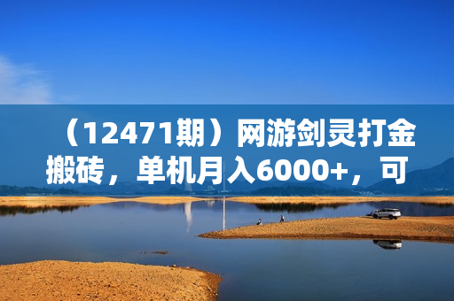 （12471期）网游剑灵打金搬砖，单机月入6000+，可矩阵操作，收益稳定。