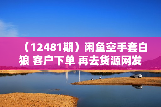 （12481期）闲鱼空手套白狼 客户下单 再去货源网发货 秒交付 高复购 轻松上手 日入