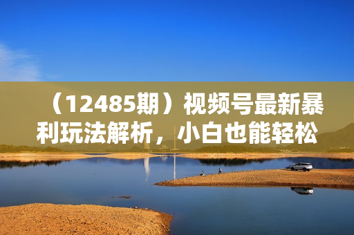 （12485期）视频号最新暴利玩法解析，小白也能轻松月入30000+