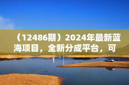 （12486期）2024年最新蓝海项目，全新分成平台，可单号可矩阵，单号轻松月入10000+
