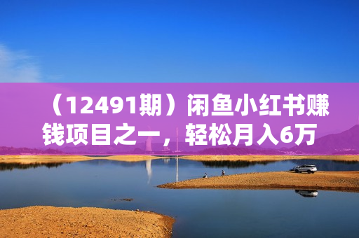 （12491期）闲鱼小红书赚钱项目之一，轻松月入6万+项目