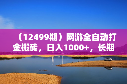 （12499期）网游全自动打金搬砖，日入1000+，长期稳定副业项目