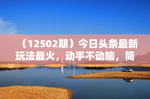 （12502期）今日头条最新玩法最火，动手不动脑，简单易上手。轻松日入3000+