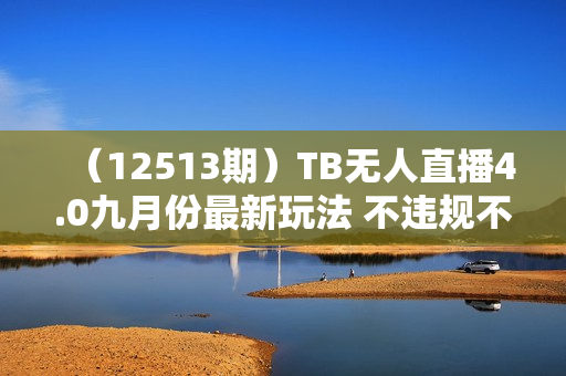 （12513期）TB无人直播4.0九月份最新玩法 不违规不封号 完美实现睡后收入 每月多赚3W+