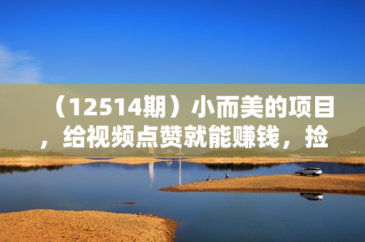 （12514期）小而美的项目，给视频点赞就能赚钱，捡钱快，每日500+