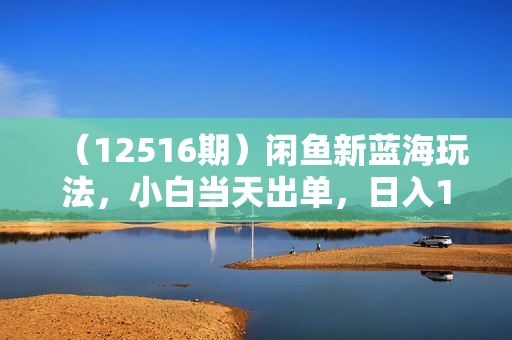 （12516期）闲鱼新蓝海玩法，小白当天出单，日入1000+，复购率特别高