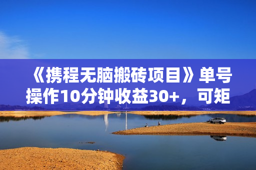 《携程无脑搬砖项目》单号操作10分钟收益30+，可矩阵可放大