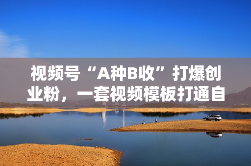 视频号“A种B收”打爆创业粉，一套视频模板打通自热流，单日单号引流200+创业粉