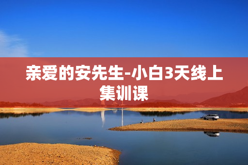 亲爱的安先生-小白3天线上集训课