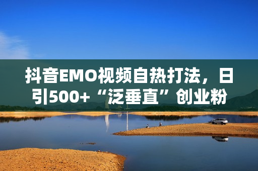 抖音EMO视频自热打法，日引500+“泛垂直”创业粉