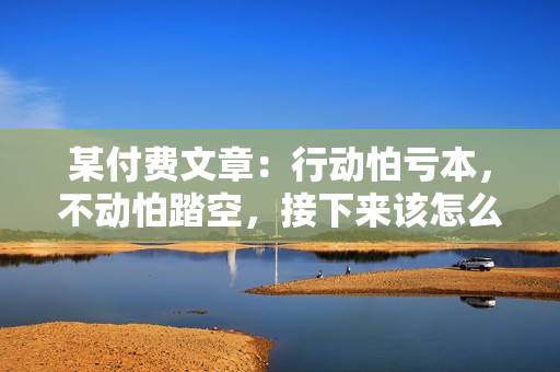 某付费文章：行动怕亏本，不动怕踏空，接下来该怎么办?