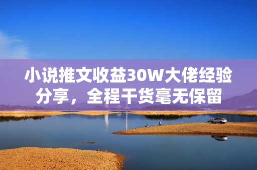 小说推文收益30W大佬经验分享，全程干货毫无保留