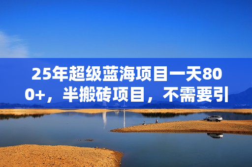 25年超级蓝海项目一天800+，半搬砖项目，不需要引流