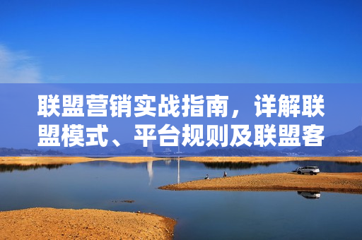 联盟营销实战指南，详解联盟模式、平台规则及联盟客运作，实现流量变现