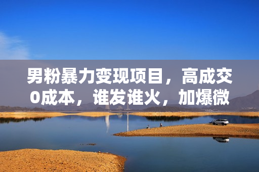 男粉暴力变现项目，高成交0成本，谁发谁火，加爆微信，日入500+