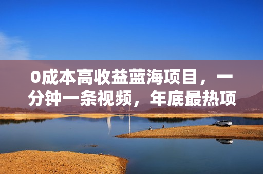 0成本高收益蓝海项目，一分钟一条视频，年底最热项目，小白轻松日入