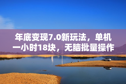 年底变现7.0新玩法，单机一小时18块，无脑批量操作日入2000+