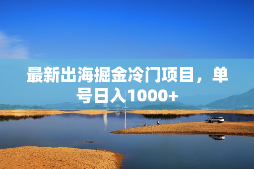 最新出海掘金冷门项目，单号日入1000+