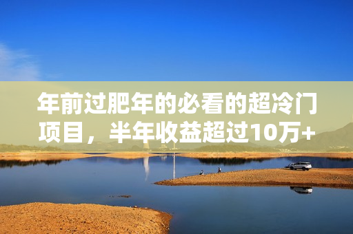 年前过肥年的必看的超冷门项目，半年收益超过10万+，