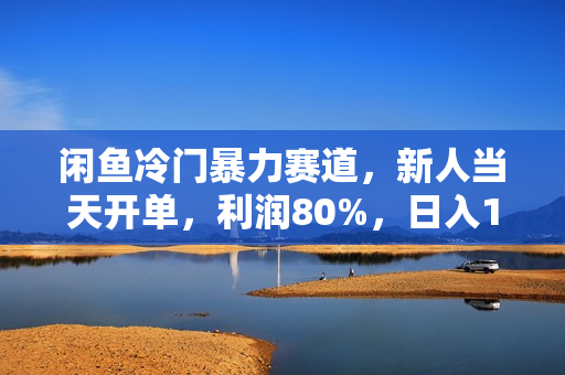 闲鱼冷门暴力赛道，新人当天开单，利润80%，日入1000+