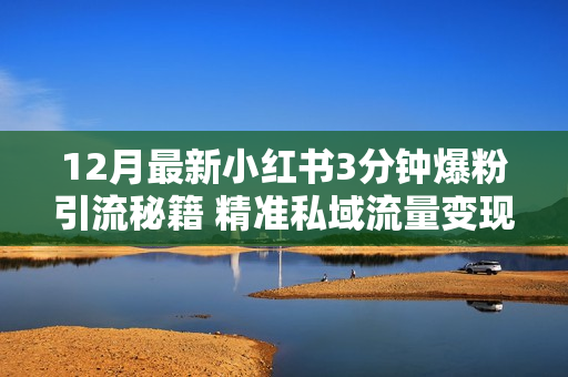 12月最新小红书3分钟爆粉引流秘籍 精准私域流量变现 日引500+