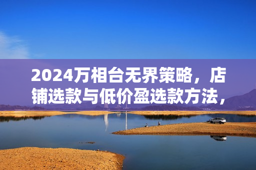 2024万相台无界策略，店铺选款与低价盈选款方法，电商运营必备技能