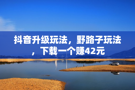 抖音升级玩法，野路子玩法，下载一个赚42元