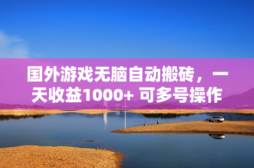 国外游戏无脑自动搬砖，一天收益1000+ 可多号操作
