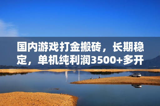 国内游戏打金搬砖，长期稳定，单机纯利润3500+多开多得