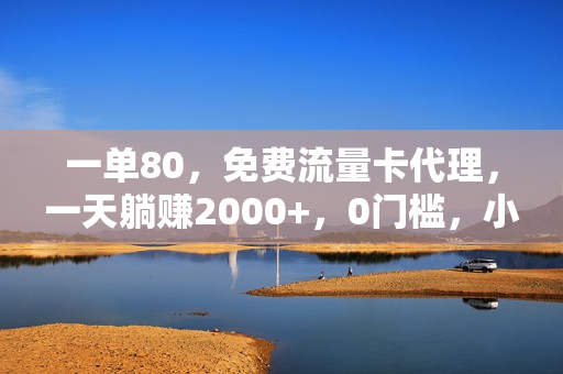 一单80，免费流量卡代理，一天躺赚2000+，0门槛，小白也能轻松上手