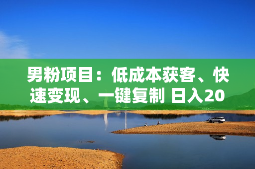 男粉项目：低成本获客、快速变现、一键复制 日入2000+