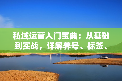 私域运营入门宝典：从基础到实战，详解养号、标签、朋友圈规划与成交技巧