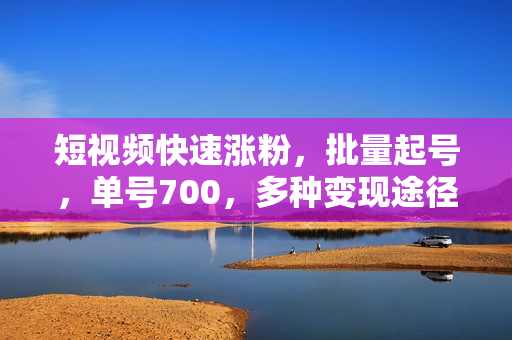 短视频快速涨粉，批量起号，单号700，多种变现途径，可无限扩大来做。