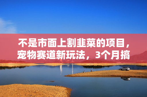 不是市面上割韭菜的项目，宠物赛道新玩法，3个月搞10万，宠物免费送，